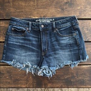 American Eagle Outfitters Vintage High Rise Festival Denim Shorts (Size 10)